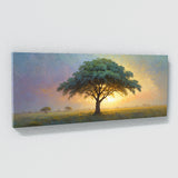 Acacia Tree Dawns Glow 53