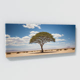 Acacia Tree Desert Panorama 70