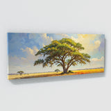 Acacia Tree Sunlit Splendor 48