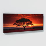 Acacia Tree Sunset 64