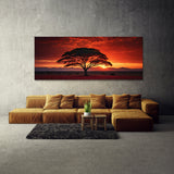 Acacia Tree Sunset 64