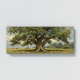 Elm Tree Resilient 13