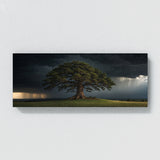 Cedar Tree Storm Sentinel 69