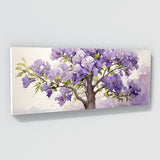 Jacaranda Tree Blooming 36