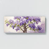 Jacaranda Tree Blooming 36