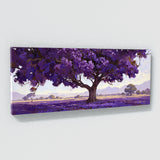 Jacaranda Tree Blooming Canopy 20