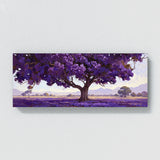 Jacaranda Tree Blooming Canopy 20