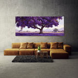 Jacaranda Tree Blooming Canopy 20