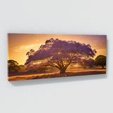 Jacaranda Tree Dreamy Glow 76