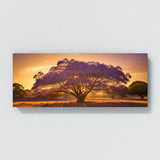 Jacaranda Tree Dreamy Glow 76