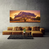 Jacaranda Tree Dreamy Glow 76