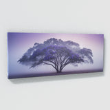 Jacaranda Tree Mystic Dawn 68