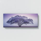 Jacaranda Tree Mystic Dawn 68