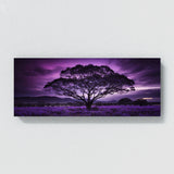 Jacaranda Tree Purple Night Glow 66