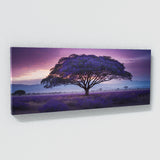 Jacaranda Tree Twilight Dream 61