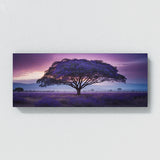 Jacaranda Tree Twilight Dream 61