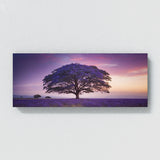 Jacaranda Tree Twilight Dream 62