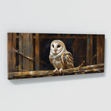 Barn Owl Barn Bliss 51