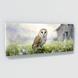 Barn Owl Foggy Meadow Serenity 28