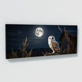 Barn Owl Moonlit Elegance 67