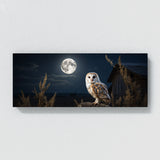 Barn Owl Moonlit Elegance 67