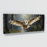 Barn Owl Woodland Soar 59