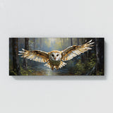 Barn Owl Woodland Soar 59