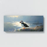 Puffin Ethereal Morning Glow 18