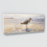 Sandpiper Muted Shore Serenade 39