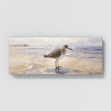 Sandpiper Muted Shore Serenade 39