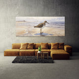 Sandpiper Muted Shore Serenade 39