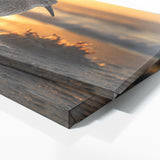 Sandpiper Radiant Morning Light 75