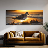 Sandpiper Radiant Morning Light 75
