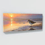 Sandpiper Sunset Reflections 5