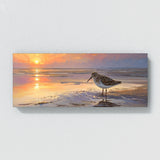 Sandpiper Sunset Reflections 5