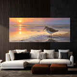 Sandpiper Sunset Reflections 5