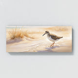 Sandpiper Whispering Beach 23