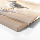 Sandpiper Whispering Beach 23