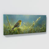 Warbler Dewy Dawn Melody 8