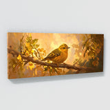 Warbler Golden Serenade 2