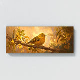 Warbler Golden Serenade 2