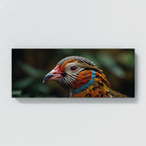 Partridge Feathered Focus 98