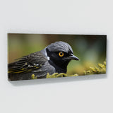 Wagtail Feathered Gaze 82