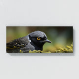 Wagtail Feathered Gaze 82