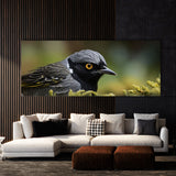 Wagtail Feathered Gaze 82