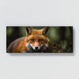 Fox Intense Eyes 108