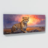 Cheetah Enchanted Sunrise 55