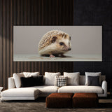 Hedgehog Modern Minimalism 85