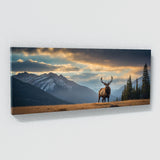 Elk Majestic Watcher 72