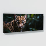 Ocelot Eyes Of Predation 71